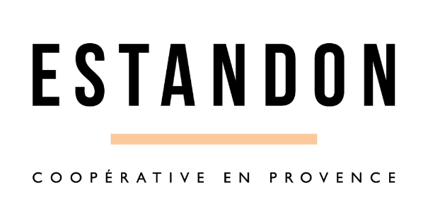 Estandon logo