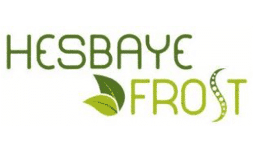 Hesbay Frost logo
