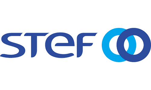 STEF logo