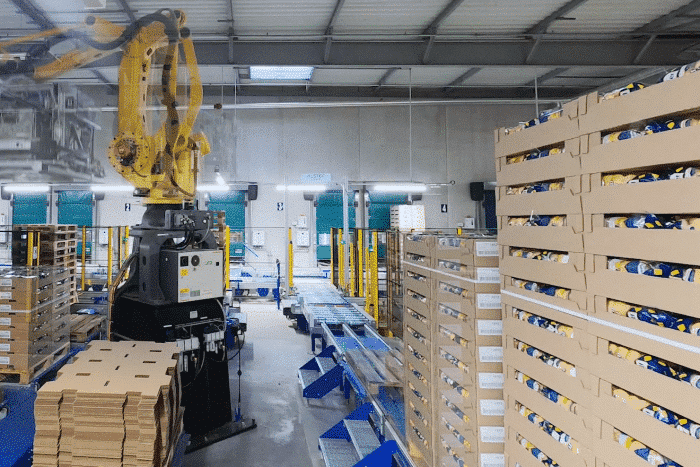 Package moving machine in warehouse