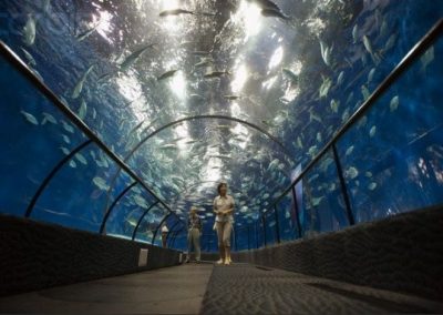 Underwater tunnel at ShangHai Aquarium